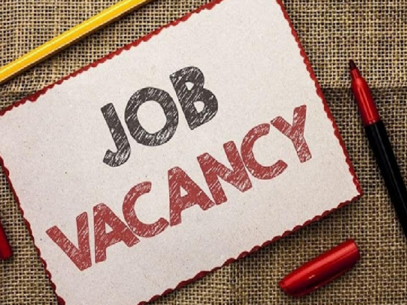 Launch and maintain webpage that contains job postings 